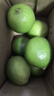 广西塔希提无籽青柠檬薄皮新鲜现摘青柠香水柠檬【百补优选】 【6个】塔希提青柠檬 单果净重50g 实拍图