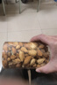 薄壳纸皮巴旦木坚果干果炒年货袋装大袋大颗粒杏仁休闲零食大礼包 薄皮巴旦木【盐焗】1罐*500g 实拍图