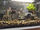 疯狂水草（FKSC）溪流石头鱼缸沙子底砂底沙溪流沙鱼缸造景观装饰溪流缸造景石套餐 实拍图