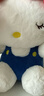 Hello Kitty三丽鸥毛绒玩具布偶猫咪玩偶布娃娃抱枕生日礼物女生 凯蒂猫公仔 实拍图