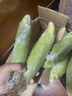 顾果鲜新鲜白糯牛奶玉米当季现摘带皮嫩苞谷代餐甜糯玉米棒子蔬菜整箱 9斤 实拍图