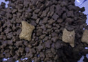 麦富迪猫粮 barf霸弗天然猫粮冻干成猫粮养胃增肌牛肉1.8kg【宠物金选】 实拍图