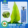 海芝宝荣成海带 有机深海小海带 288g*2袋 饭包涮锅火锅 聚餐 实拍图
