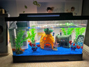 Barbarous Growth鱼缸水族箱客厅阳台家用中小型自循环懒人免换水生态塑料金鱼缸 中号黑色【过滤氛围套餐】 实拍图