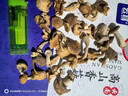 云耳云南高原特产高山野生香菇小香蕈120g南北干货山珍菌菇煲汤材料 实拍图