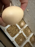 京喜加土鸡蛋 新鲜鸡蛋山林自养 生鲜溏心蛋 卤蛋早餐京东买菜40g正负5g 20枚装总重800g+ 实拍图