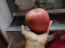 京鲜生 烟台红富士苹果 净重4.2斤 单果160-190g 水果礼盒  实拍图