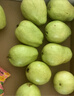京觅白心芭乐 单果200g起 3斤礼盒装 土番石榴 年货节送礼 源头直发  实拍图