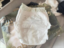 babycare金山茶花拉拉裤XXXXL26片(＞19kg)婴儿尿不湿超薄透气轻柔花苞裤 实拍图