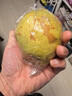 梨贡士隰县梨园 山西隰县玉露香梨 临汾馆玉露香梨脆甜多汁梨子特产 15颗中大果（9斤装） 实拍图