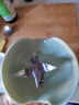 九阳（Joyoung）榨汁杯 果蔬榨汁机搅拌杯 婴儿辅食机小型电动多功能自动清洗 可碎冰果汁机L3-LJ2520绿 国家补贴 实拍图