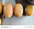 佳沛（zespri）新西兰  阳光金奇异果10粒礼盒巨大果单果约144-175g 水果 猕猴桃 实拍图