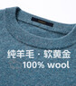 罗蒙【100%羊毛】纯羊毛衫男秋冬圆领毛衣男士薄款套头打底针织衫男装 实拍图