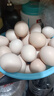 九華粮品散养土鸡蛋40枚 净重3斤 农家柴鸡蛋 笨鸡蛋 月子蛋 实拍图