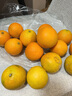 京鲜生 爱媛果冻橙 10斤装 单果150g起 生鲜水果桔子礼盒 实拍图
