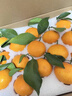 象山红美人正宗象山红美人柑橘【多地次日达】28号果冻橙年货节送礼盒 【超甜 | 甄选级】12枚单果200g+ 【自吃推荐-锁鲜装】颗颗精品 实拍图