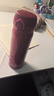 膳魔师（THERMOS）保温杯500ml男女士儿童水杯子学生生日礼物JNL-503玫瑰红 实拍图