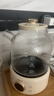 OIDIRE（偶点）全玻璃养生壶 花茶壶无胶水煮茶壶 煮茶器办公室恒温养生壶烧水壶电热水壶炖煮智能保温 1L ODI-HC01花茶养生壶【不带滤网】 实拍图