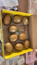 佳沛（zespri）新西兰  阳光金奇异果10粒礼盒巨大果单果约144-175g 水果 猕猴桃 实拍图