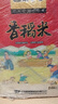 老娘舅大米 2025年新米 锁鲜香稻米 现磨鲜米 20斤 珍珠米 粳米 实拍图