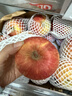 京鲜生 新疆阿克苏苹果 净重9斤装 果径85-90mm 新鲜水果 实拍图