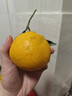 生活＆好管家 四川春见耙耙柑爆浆大果新鲜水果礼盒应季橘子现摘柑橘子桔子 4.5-5斤【超划算】净重4.5斤 果径80-85mm【中大果】 实拍图