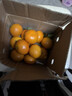 京鲜生 金秋砂糖橘/砂糖桔 2斤 生鲜水果  实拍图