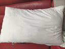 水星家纺枕头枕芯酒店枕头护颈枕头芯家用单个纯棉抗菌可水洗中枕48x74cm 实拍图