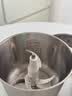 京悠雨品牌绞肉机电动大功率家用多功能升级款饺搅碎肉绞馅机蔬菜打碎机大容量2026年新款 一组四叶刀【四叶精刚刀片】 2L 实拍图