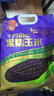 十月稻田 黑糯玉米 3.52斤(220g*8根) 东北甜黏玉米棒 早餐苞米 低脂代餐 实拍图
