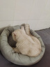 梵都宠舍 猫窝冬季保暖蛋挞猫垫子四季通用猫狗窝猫床猫咪用品宠物窝 实拍图