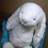 Jellycat害羞乳白色邦尼兔动物毛绒玩偶安抚玩偶娃娃圣诞节生日礼物 害羞乳白色邦尼兔 Large 实拍图