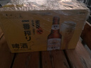 麒麟（Kirin）一番榨 黄啤酒330ml*24瓶 整箱装 清爽口感京东自营 实拍图