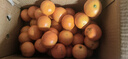 京鲜生 广西砂糖橘 净重4.5斤 单果35-45mm  生鲜水果 源头直发包邮 实拍图