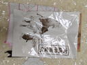 得力中国画颜料多色国画儿童成人美术生专用初学者套装入门毛笔水墨画工具全套24色国画颜料小学生套装 【初学者】18色5ml-10件 实拍图