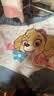 汪汪队立大功（PAW PATROL）女童内裤棉柔平角A类四角裤女宝宝小学生儿童抑菌内裤PA1816 110 实拍图