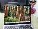 Apple/苹果AI笔记本/2025款MacBookAir13英寸M4(10+10核)24G512G天蓝色电脑MC6V4CH/A 实拍图