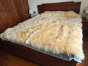 加大羊皮床垫皮毛一体双人褥子冬季加厚防潮保暖床毯家用长毛床毯 米黄色 澳洲羔羊皮毛 1.8x2米 实拍图
