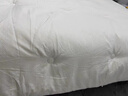 皇朝家私被子被芯A类10%羊绒蛋白四季被春秋抗菌冬天被褥 约6斤200*230cm 实拍图