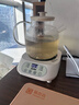 WIFER养生壶烧水壶热水壶恒温壶养生烧水壶煮茶壶煮茶器泡茶壶一体机全自动玻璃保温小家用 【500W功率】智能预约+240分钟恒温 1.2L 实拍图