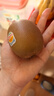 佳沛（zespri）新西兰  阳光金奇异果10粒礼盒巨大果单果约144-175g 水果 猕猴桃 实拍图