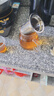 金灶（KAMJOVE）泡茶壶飘逸杯 耐热玻璃茶具功夫办公室花茶壶 茶水分离杯茶壶家用 A-02 500ml 实拍图
