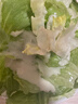 冠利凯撒沙拉酱1L德国进口点蘸水果蔬菜色拉酱轻食健身餐搭配调味  实拍图