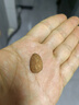 三只松鼠手剥巴旦木500g/袋装 坚果炒货干果扁核桃杏仁零食送礼  实拍图