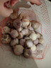 云南紫皮独头蒜干蒜果经3.0mm+ 大果直径3.0左右（14头） 实拍图