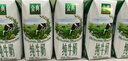 伊利金典纯牛奶整箱 200ml*12盒 3.6g乳蛋白 原生高钙 礼盒装 实拍图
