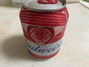 百威啤酒mini罐淡色拉格255ml*12听整箱装【小罐尝鲜】京东自营 实拍图