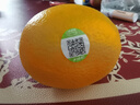 农夫山泉 17.5°橙 脐橙 净重6斤装 铂金果 生鲜水果礼盒 实拍图