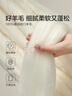 博洋家纺A类抑菌100%澳洲进口复合羊毛被被芯加厚冬被220*240cm 实拍图