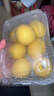 京鲜生 安岳黄柠檬 8粒 单果95-120g 生鲜水果 实拍图